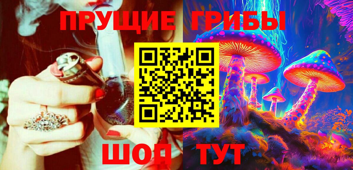 Псилоцибиновые грибы Cubensis Белореченск