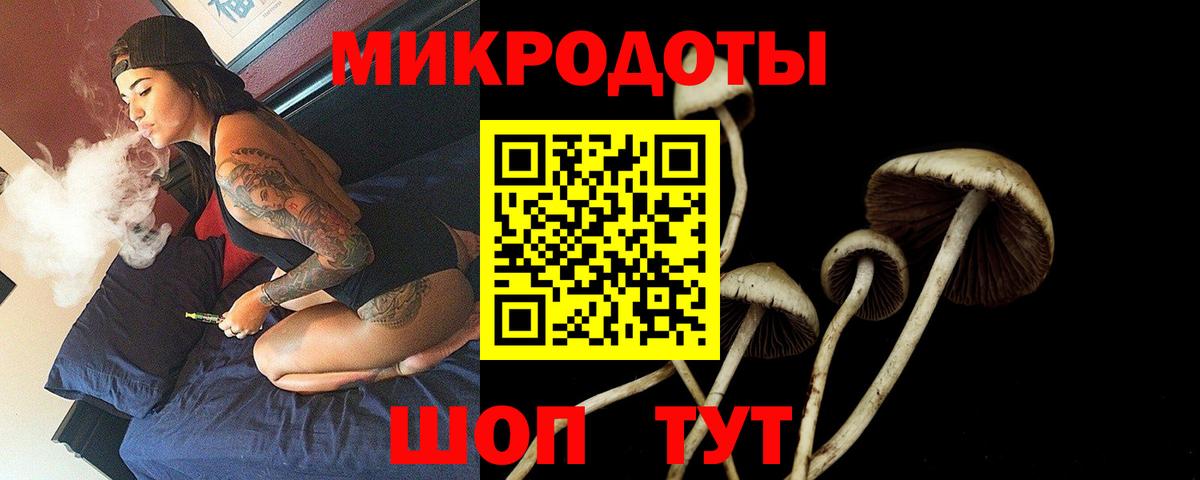 Белореченск  Псилоцибиновые грибы GOLDEN TEACHER  Вход с VPN 